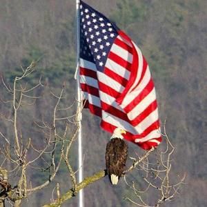 Meet your Posher, Krista